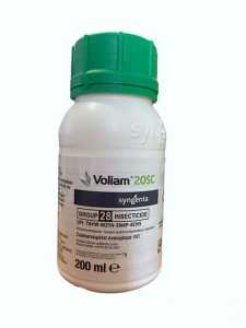 Ανώνυμο σχέδιο (3)